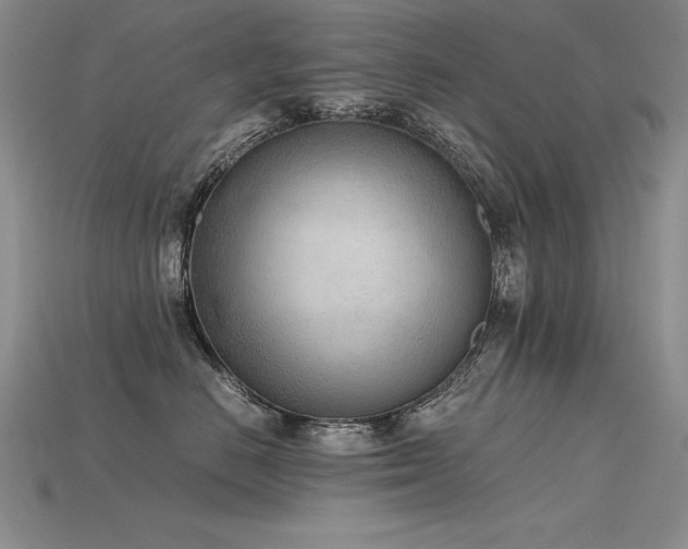X0000115780670200911131248