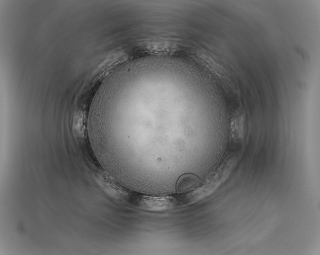 X0000115780671200911131248