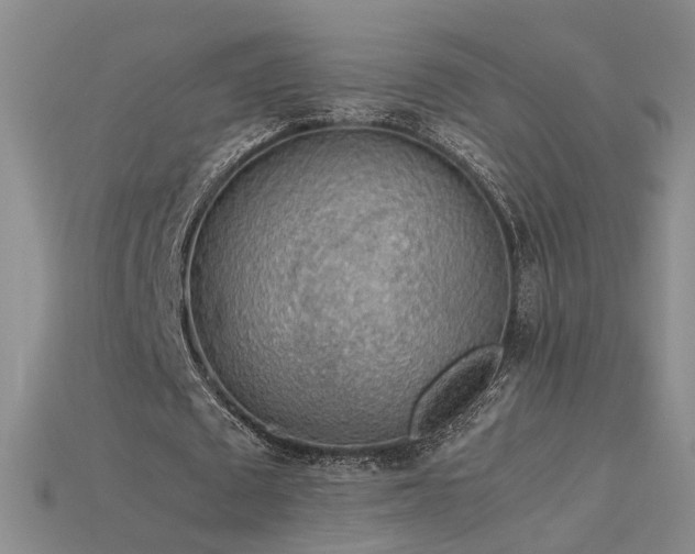 X0000115780673200911131248