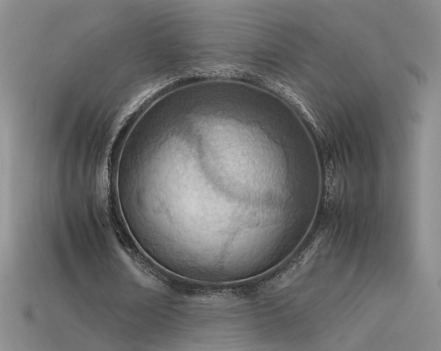 X0000115780674200911131248