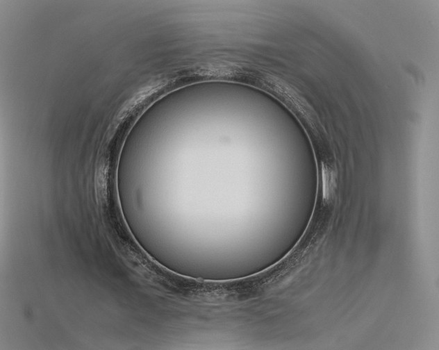 X0000115780675200911131248