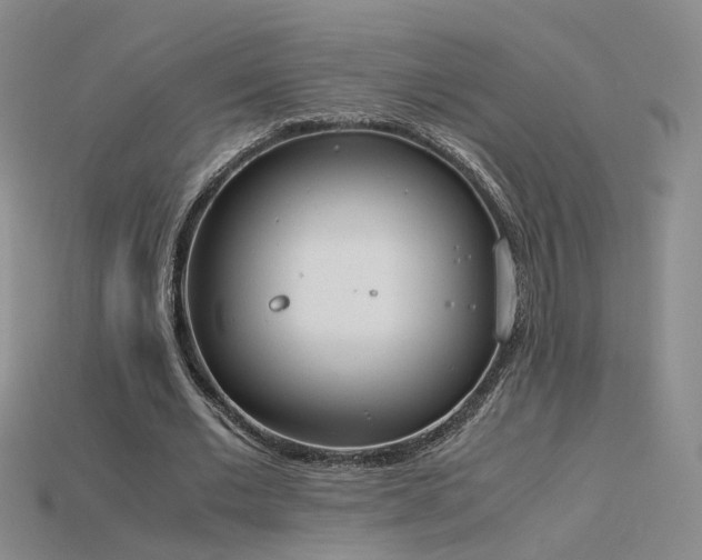 X0000115780677200911131248