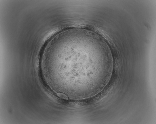 X0000115780679200911131248