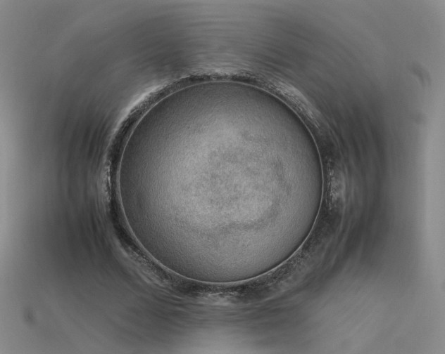 X0000115780680200911131248