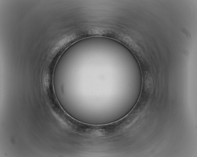 X0000115780683200911131248