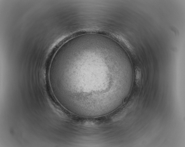 X0000115780684200911131248