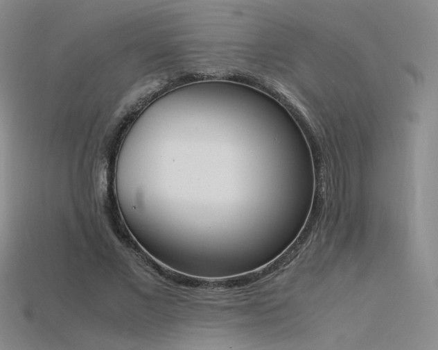 X0000115780685200911131248