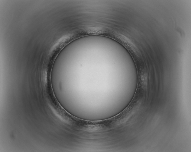 X0000115780686200911131247