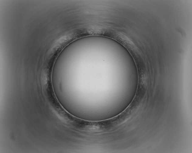 X0000115780687200911131247