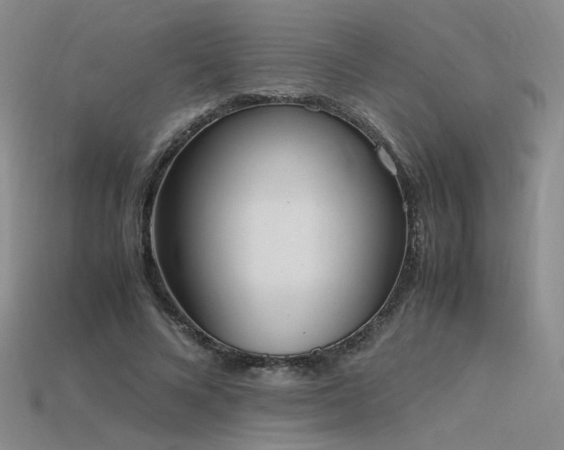 X0000115780688200911131247