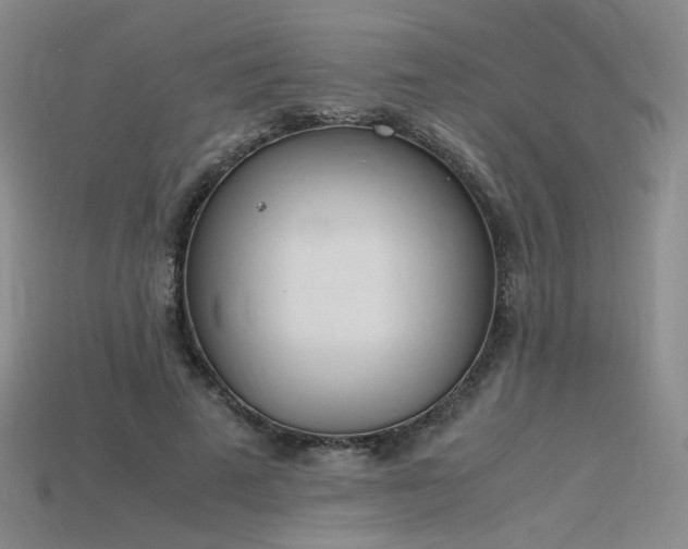 X0000115780689200911131247