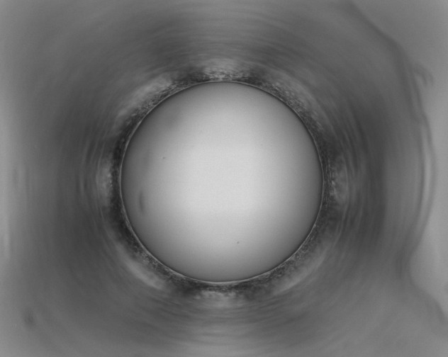 X0000115780690200911131247