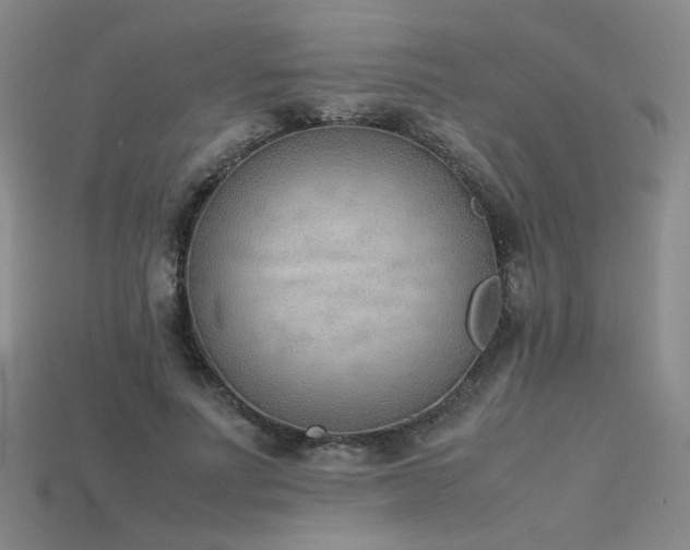 X0000115780691200911131247