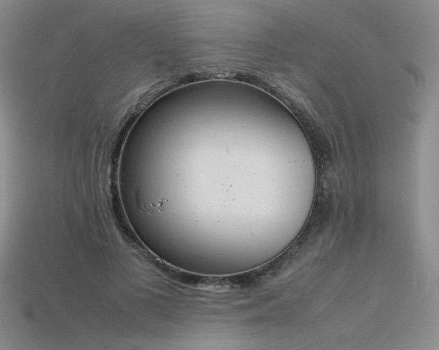 X0000115780693200911131247