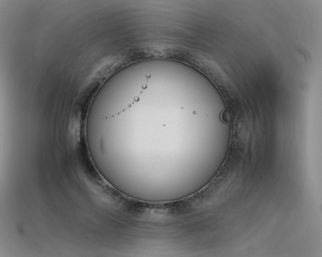 X0000115780694200911131247