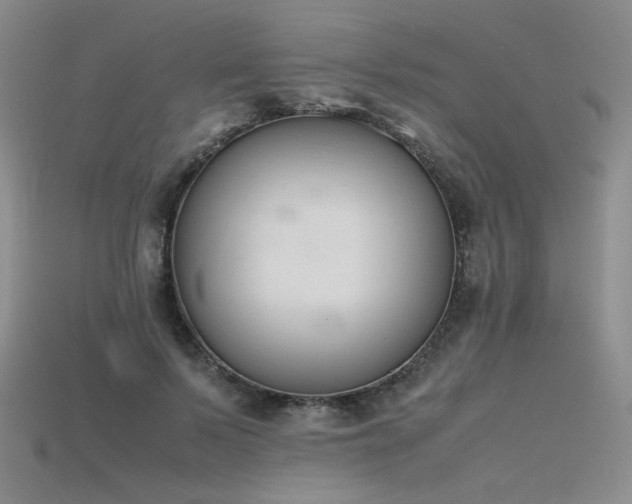 X0000115780695200911131247