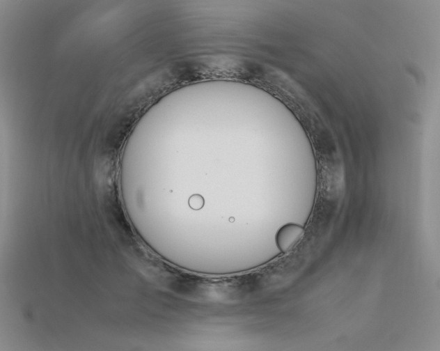 X0000115780701200911131247