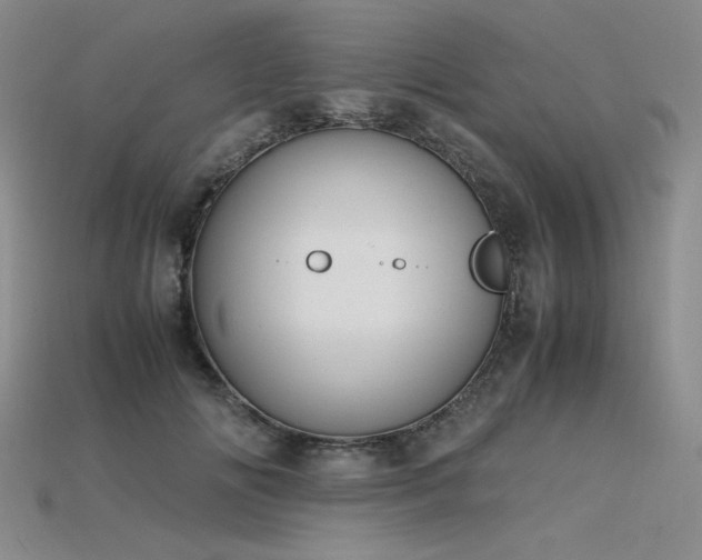 X0000115780702200911131247