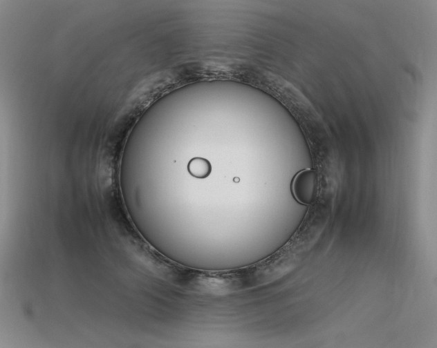 X0000115780706200911131247
