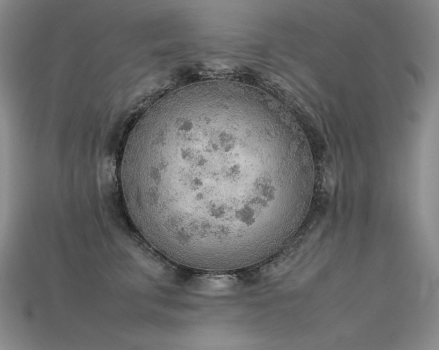 X0000115780711200911131247