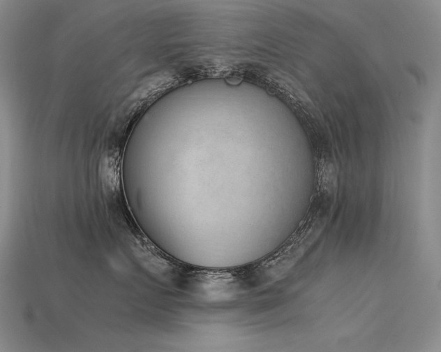 X0000115780719200911131247