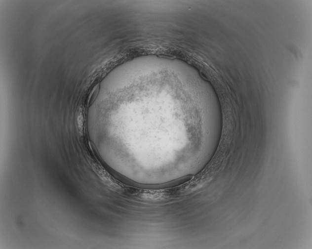X0000115780720200911131247