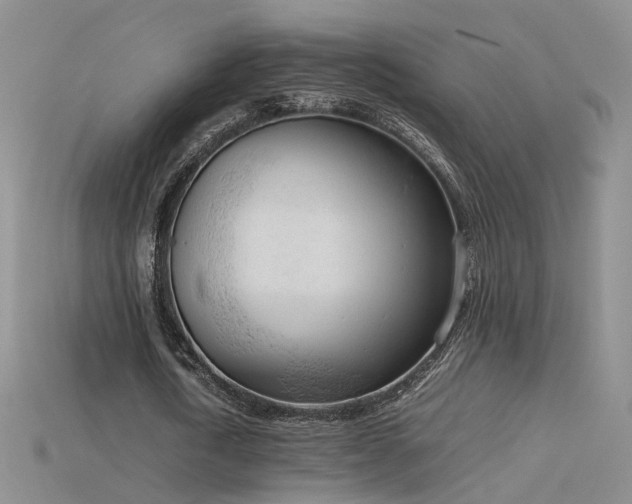 X0000115780722200911131246