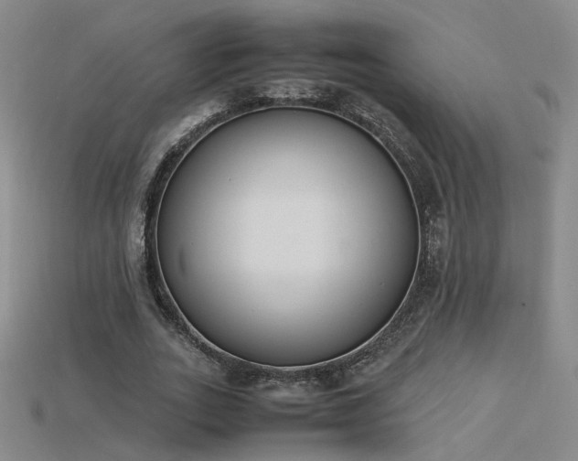 X0000115780727200911131247