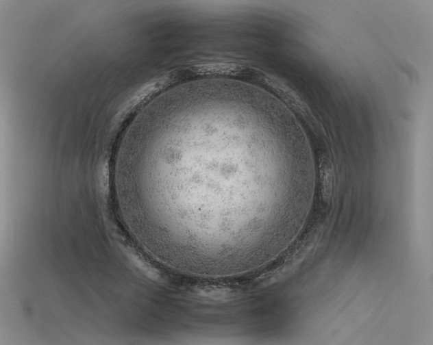 X0000115780729200911131247
