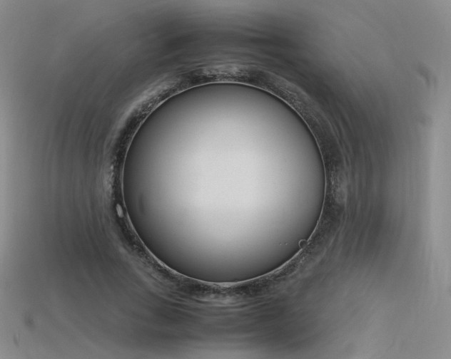 X0000115780735200911131247