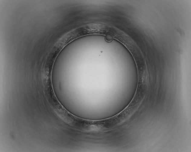 X0000115780737200911131247