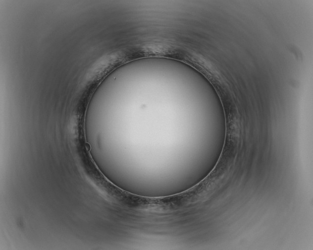 X0000115780738200911131247