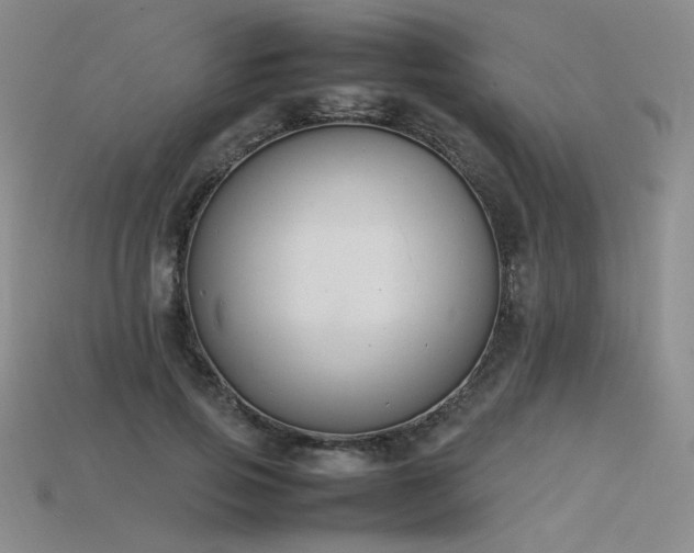 X0000115780741200911131247
