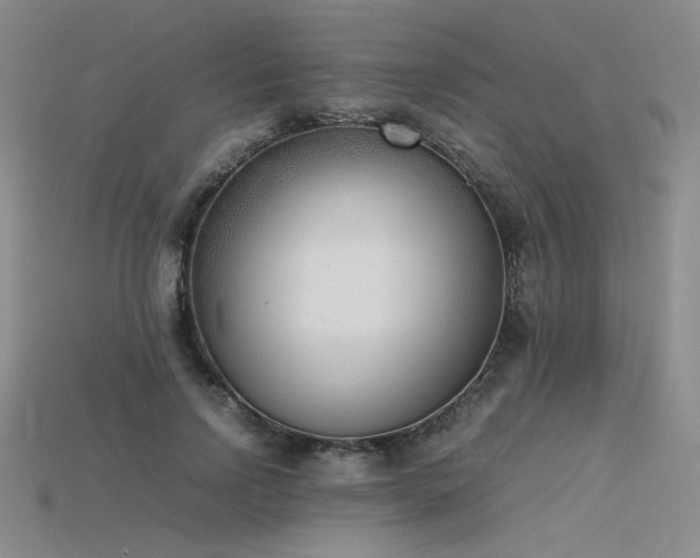 X0000115780742200911131247