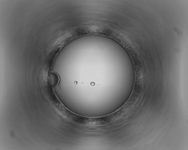 X0000115780746200911131247