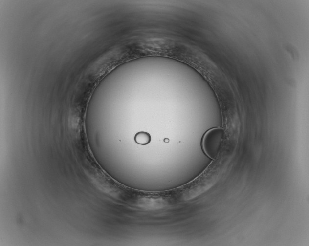 X0000115780749200911131247