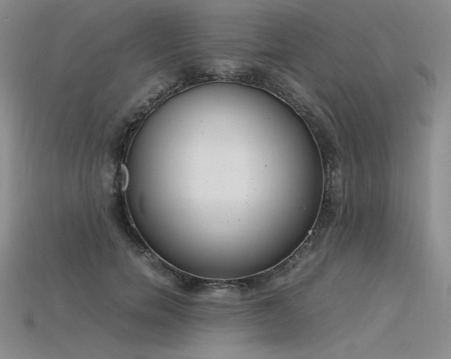 X0000115780750200911131247