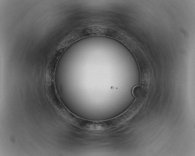 X0000115780751200911131247