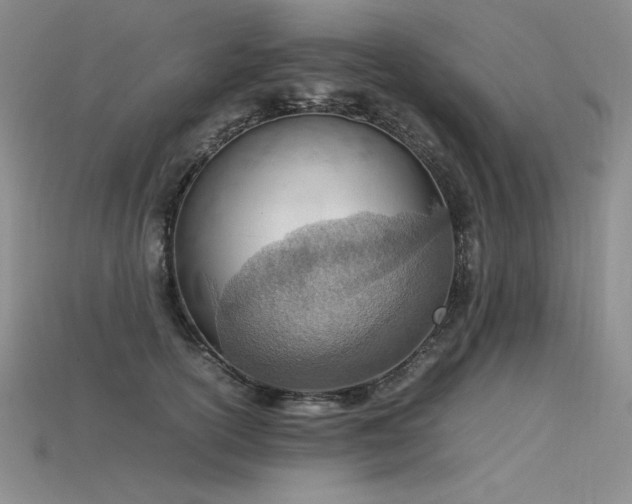 X0000115780754200911131247