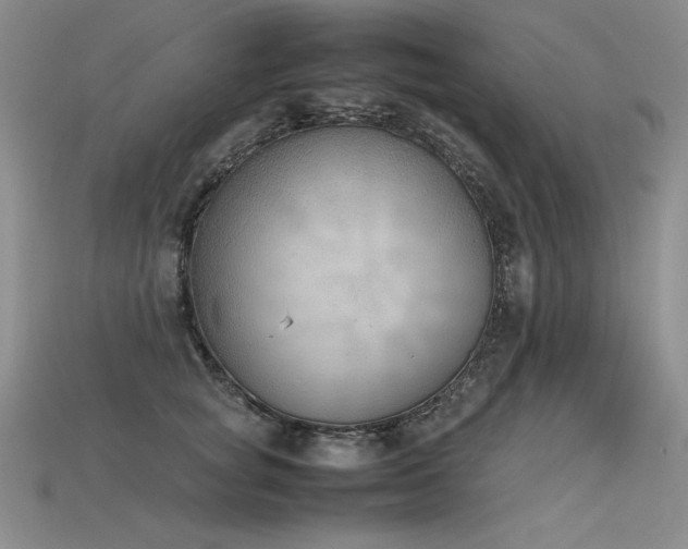X0000115780757200911131247