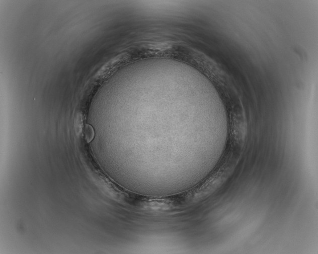 X0000115780758200911131247