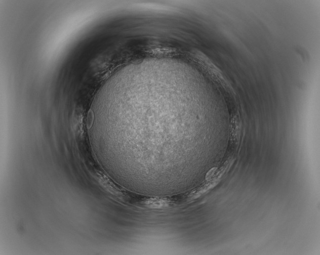 X0000115780762200911131247