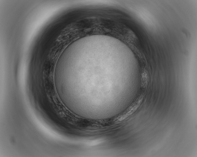 X0000115780765200911131247