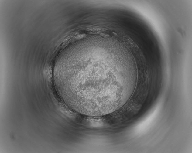 X0000115780767200911131247