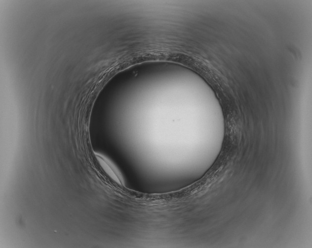 X0000115780769200911131246