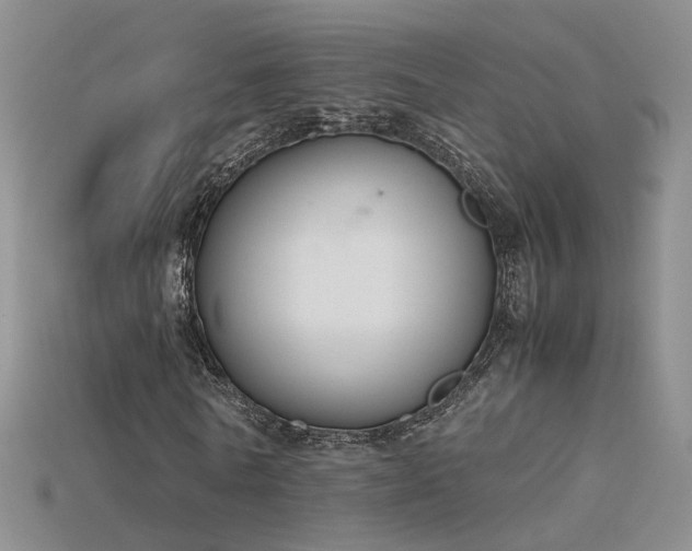 X0000115780770200911131246