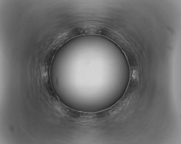 X0000115780771200911131246