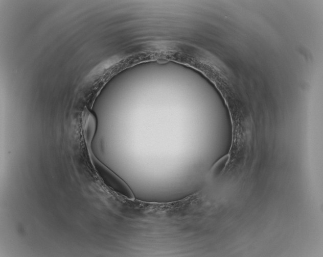 X0000115780773200911131246