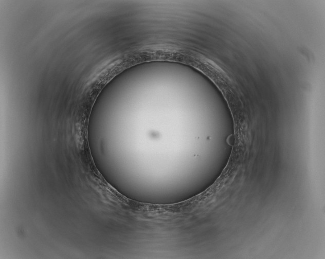 X0000115780774200911131246