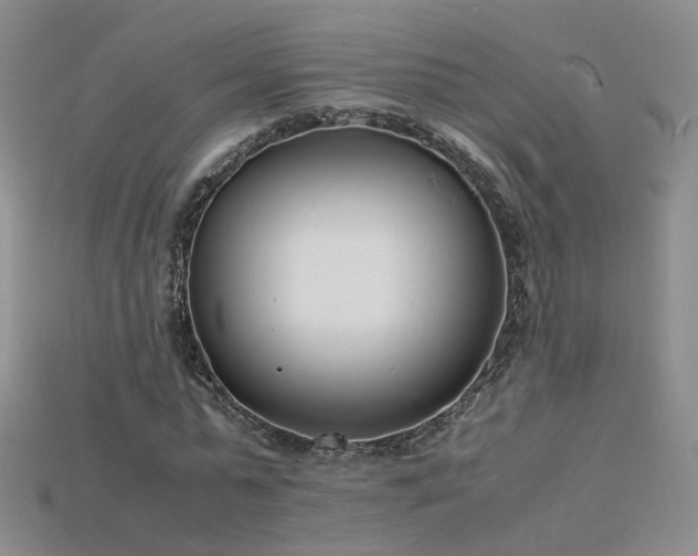 X0000115780775200911131246